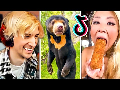 xQc Watches Entertaining TikToks for 52 Minutes with Chat