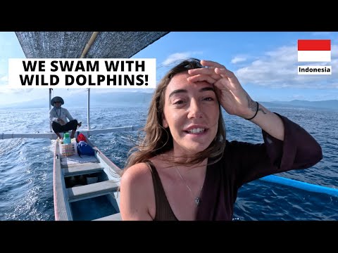 LOVINA BALI in 2024 - The Best Things to Do