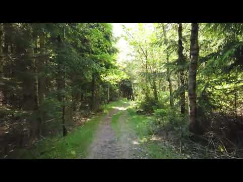 Have system designs later turned out to be costly?