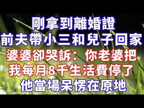 剛拿到離婚證，前夫帶著小三和兒子回家慶祝，婆婆卻哭訴：你老婆把我每月8千生活費停了，他當場呆愣在原地.. #情感故事 #爽文#婆媳关系
