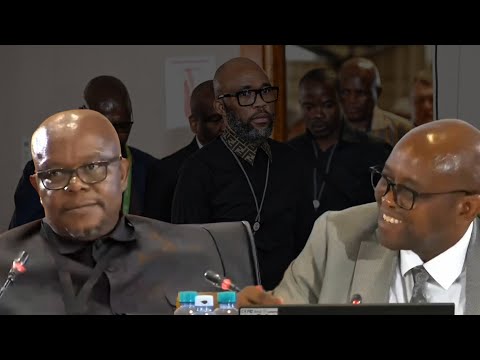 General Lesetja Senona ask for protection from Commissioner Mbuyiseli Madlanga  