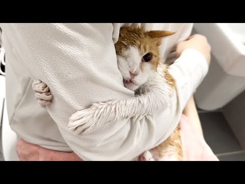 I took a bath for the first time in two years.