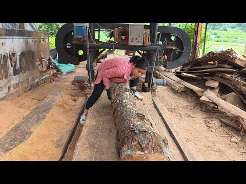 Talented girl :Operate sawmill and giant tree by herself