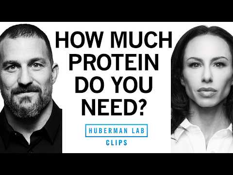 The Truth About Protein | Dr. Gabrielle Lyon & Dr. Andrew Huberman