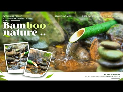 Relaxing Music Combined with Water Sounds, Healing the Soul 🌱