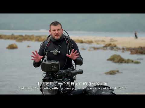 如何进行水下拍摄？谁懂！广东深圳沿海水下藏着绝美珊瑚世界！为拍这片秘境，团队用广东造专业设备，靠宽景+微距双镜头解锁细节！#野性广东 #水下拍摄 #珊瑚产卵 #野性广东