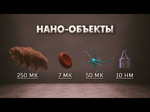 Путешествие в заквантовый мир. Визуализация субатомных частиц, вирусов, и молекул