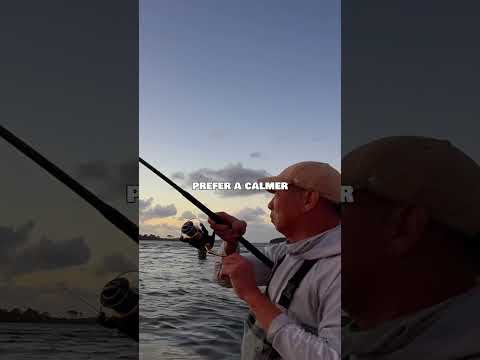 Chaos vs. Peace: Two Completely Different Fishing Worlds! 🌊🎣
