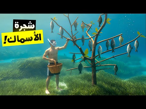 زرعت شجرة في أعماق البحر تنتج الأسماك بدل الفواكه 🌳🐟