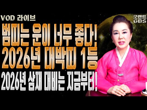 2026년 붉은 말의 해 범띠 운세 분석 및 해묘미띠 삼재 대비 010-6625-2677 연이궁꽃대신 강남점집 서울점집 유명한점집 용한무당 점잘보는집