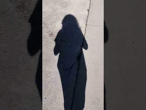 walking shadow