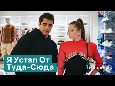 Воплощение Отношений Любви-Ненависти | Зимородок