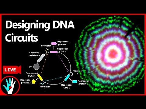 [LIVE]  Programming DNA circuits | Learn Real Genetic Engineering - Part 3