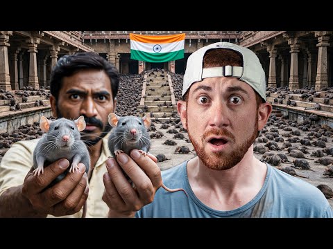 I Went To India's Temple Of 20,000 Rats