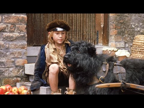 狗狗被主人暴打后遗弃路边，被男孩所救后，开启了终生报恩之路，17分钟看完1999年温情电影《义犬报恩》