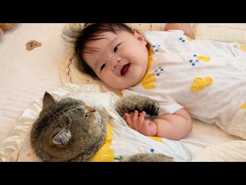 When a Cat Sat Beside the Baby… Something Sweet Happened 😺