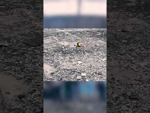 Flying Brick #prank #fpv #freestyle