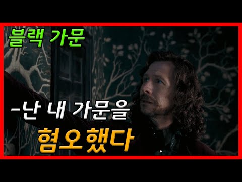 블랙 가문은 정말 순수 혈통일까? 시리우스와 블랙 가문 이야기