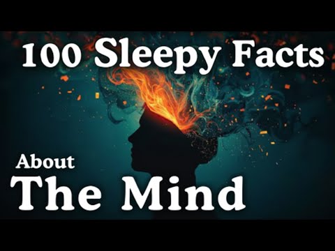 100 Relaxing Facts About The Mind to Fall Asleep T0