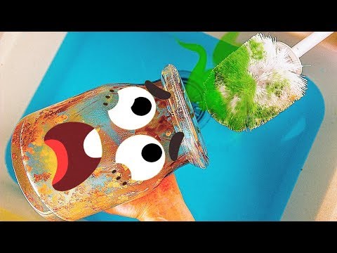 الفواكه المدهشة تخطط للعطلة الأسبوعية - عالم الخربشة