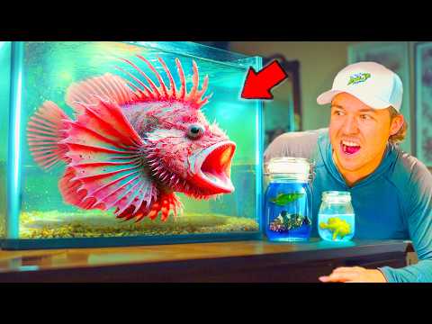 Buying Unusual Sea Creatures Off The Internet...