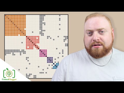 How Does Ancestry's New DNA Cluster Tool Work?