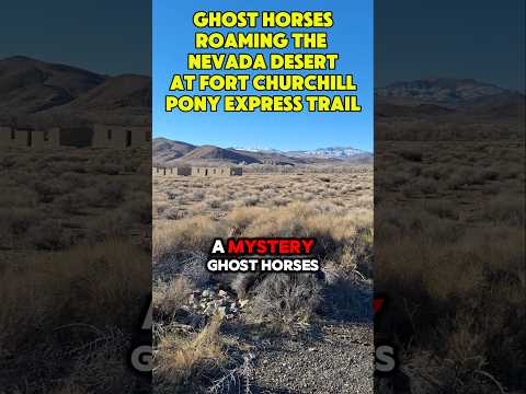 Ghost Horses Roam Nevada Desert! POTA Rove