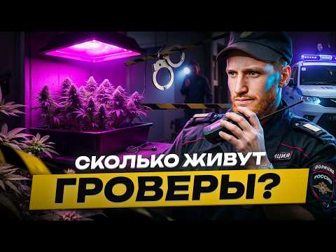 ⚠️ Сколько Живут Гроверы 2025?! Вся правда о домашнем выращивание конопли. Как вырастить дома траву?