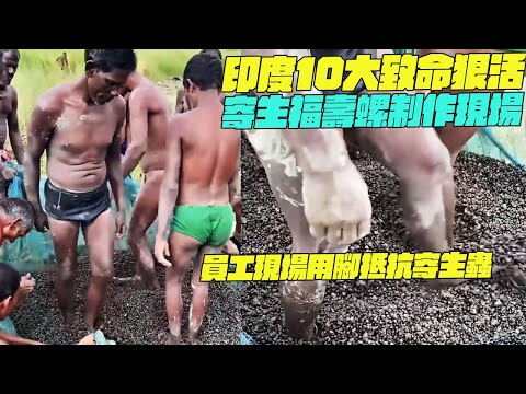 印度10大致命狠活！寄生福壽螺制作現場！員工現場用腳抵抗寄生蟲？印度美食#搞笑視頻#維基紀錄片#維基小哥