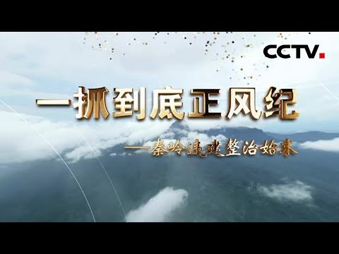《一抓到底正风纪——秦岭违建整治始末》 20190109 | CCTV
