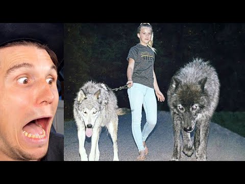 Paluten REAGIERT auf Die 15 Gruseligsten Haustiere Die Menschen Tatsächlich Halten