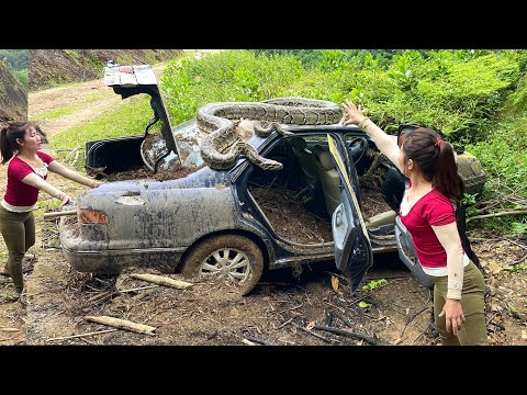 Girl Challenges to Restore Abandoned Toyota Car and a Giant Pile of Trash