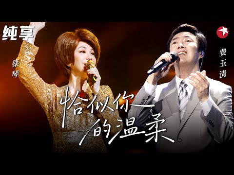 这才叫神级合唱!蔡琴费玉清同台对唱《恰似你的温柔》开嗓瞬间仿佛时间倒流!#经典现场 #4k