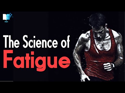 The Science of Fatigue: Your Brain is the 'Central Governor'