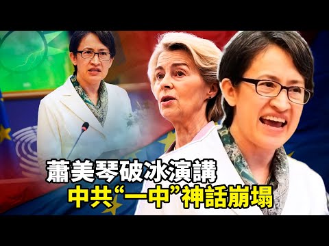 2025台湾外交大逆袭！萧美琴欧洲议会演说震撼全球，世界已经为台湾鼓掌，压过中共怒吼，川普「台湾就是台湾」、日本「台湾有事即日本有事」，绿色护照含金量完胜红色护照！