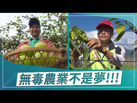 草地狀元-請神栽種蜜棗達人VS祖先智慧無毒農夫(2021.03.29播出)