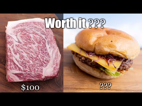 I Turned this $100 Wagyu Steak into a Burger