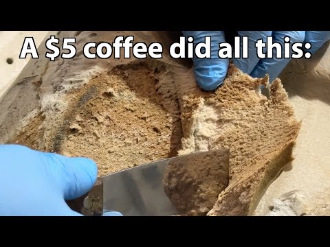 A McDonalds coffee ruined my Mercedes.