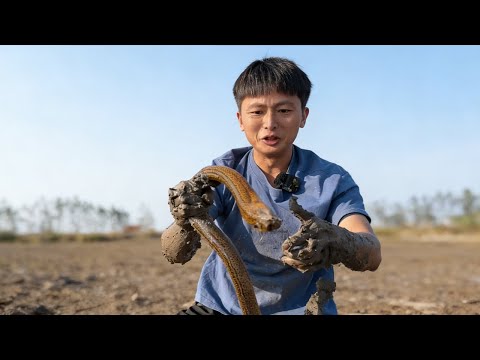 Looking at this hole, I'd believe anyone who said this eel weighed three pounds. Let's see today'...