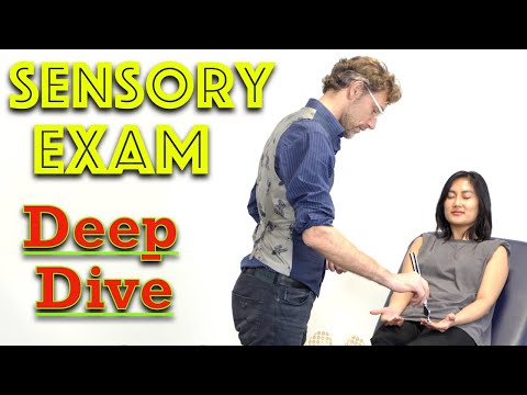 Upper Limb Sensation Examination Explained - Clinical Skills - Dr Gill