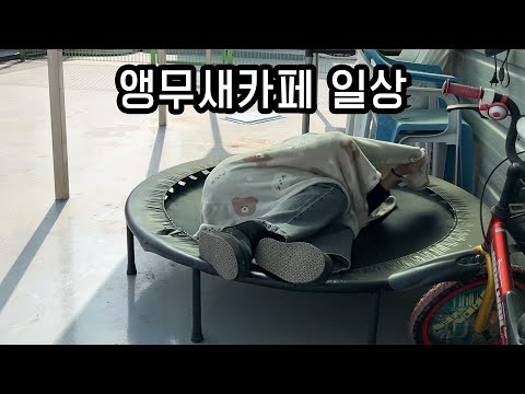 앵무새카페에서 노숙하는 25세 여자알바생