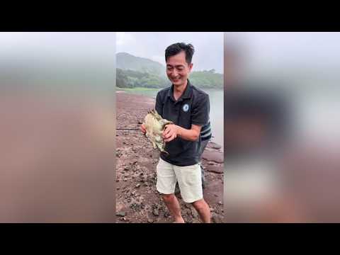 百年水库搞野货深山洞穴探 珍馐