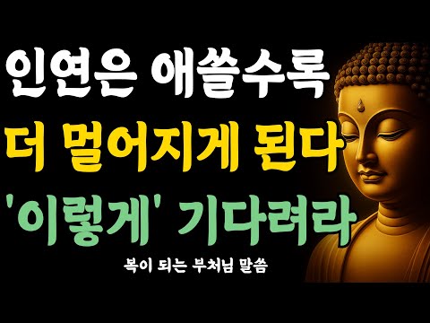 인연은 애쓸수록 더 멀어지게 된다 '이렇게' 기다려라 | 자면서 듣는 부처님 말씀 | 석가모니 | 불교 명언 | 불교 오디오북
