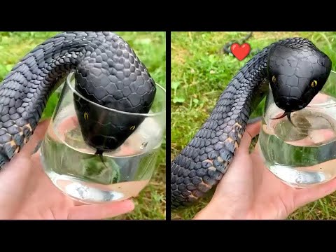 Thank you for saving me, sir.