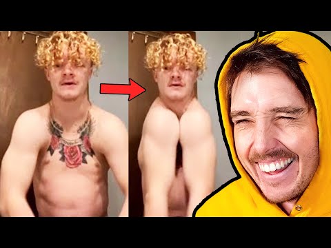 The Best Videos On The Internet