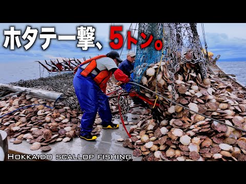 The village with Japan's largest scallop catch