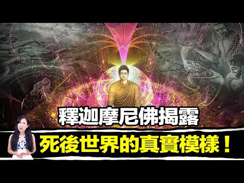 釋迦摩尼成佛後用超能力看透了宇宙的一切！除了宇宙所有的因跟果之外，甚至包括了即將迎來毀滅的宇宙！ | 馬臉姐
