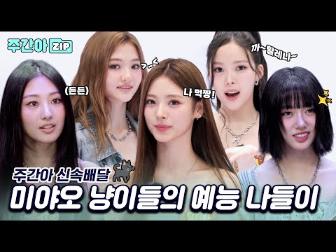 [신속배달] 고양이도 산책을 나오나요? 미야오 냥이들의 예능 나들이♥ l #주간아이돌 l l EP.696