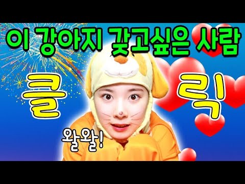 급걸 가족을 못말리는 이유ㅋㅋㅋ(ft.가족 유형)