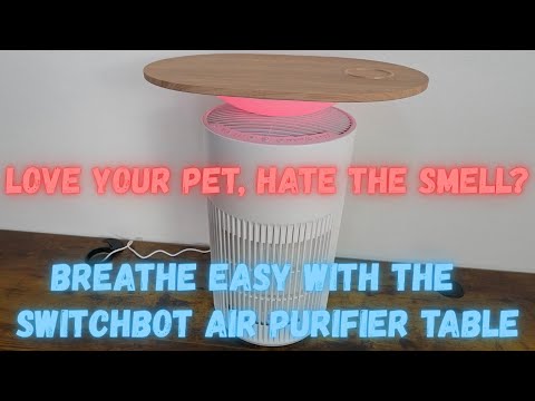 The BEST Air Purifier for Pet Owners? SwitchBot Review!